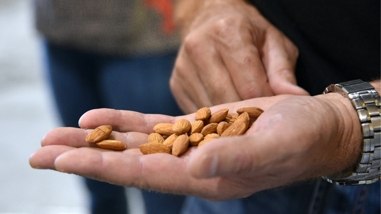 Almonds