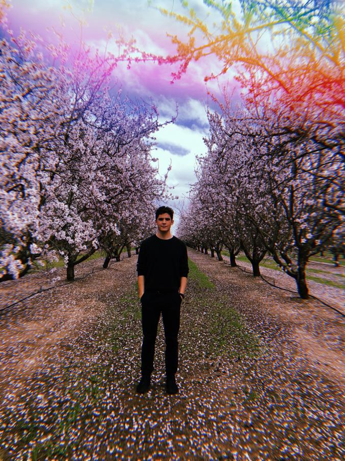 Almonds